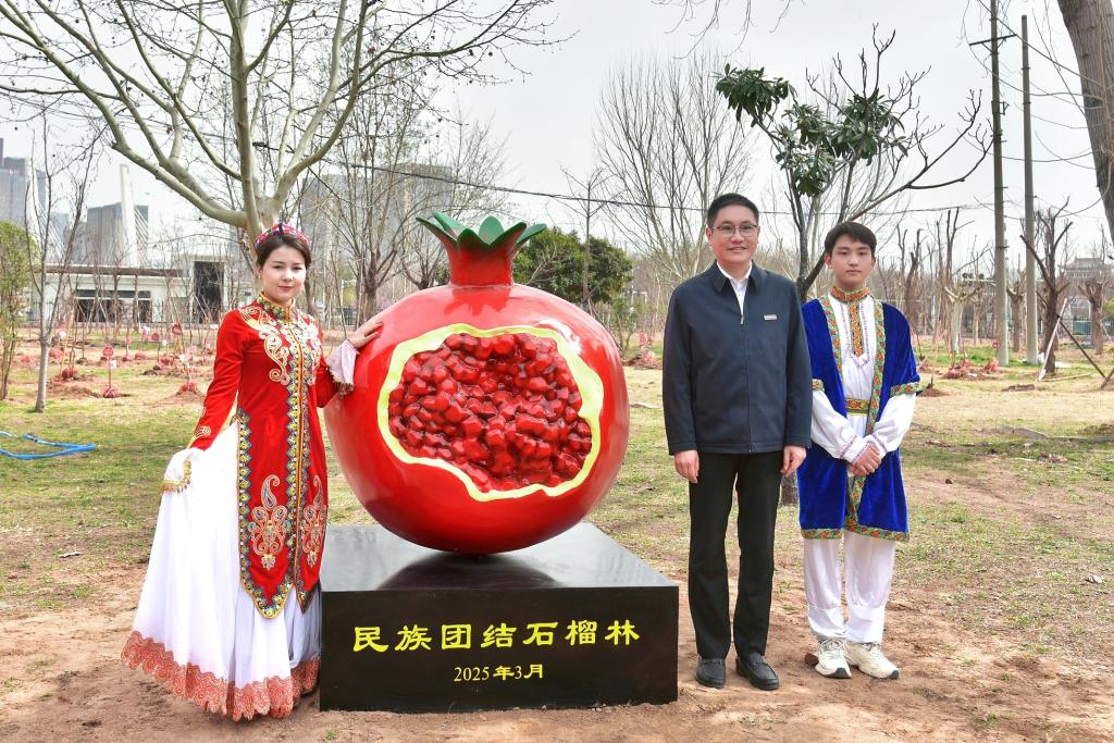球盟会网页登录