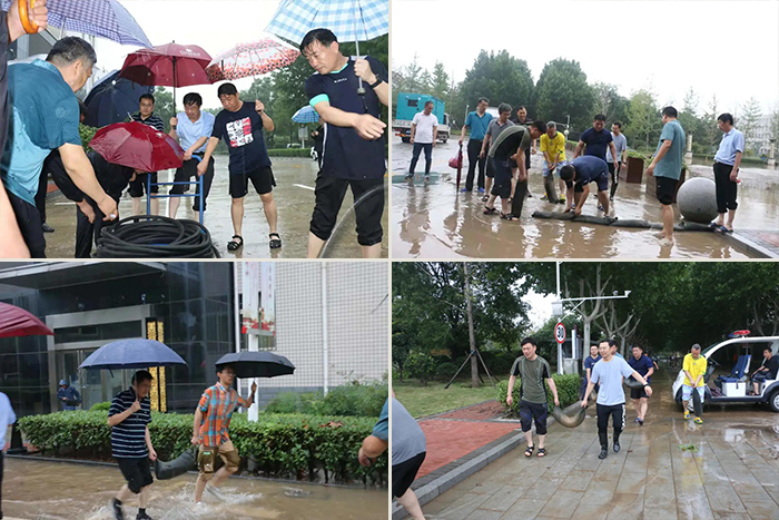 球盟会网页登录