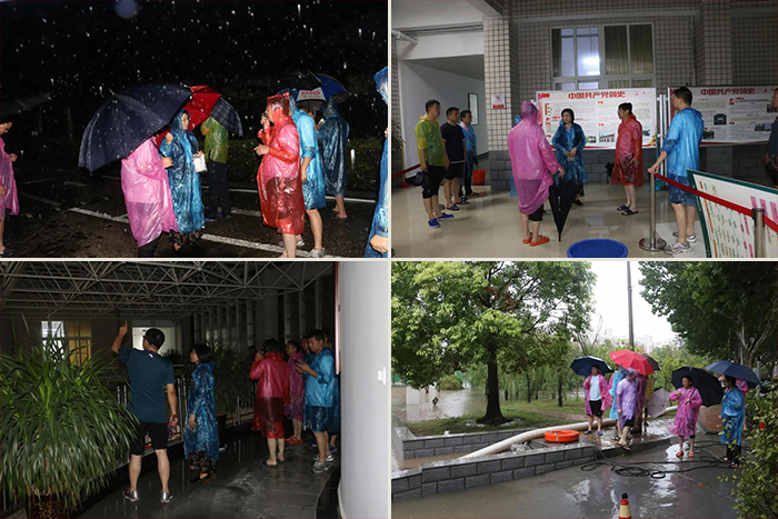 球盟会网页登录