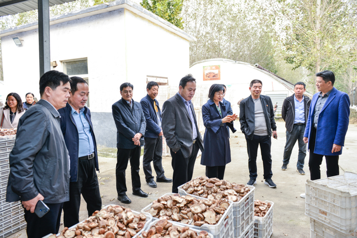 球盟会网页登录