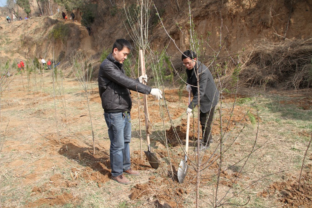 球盟会网页登录