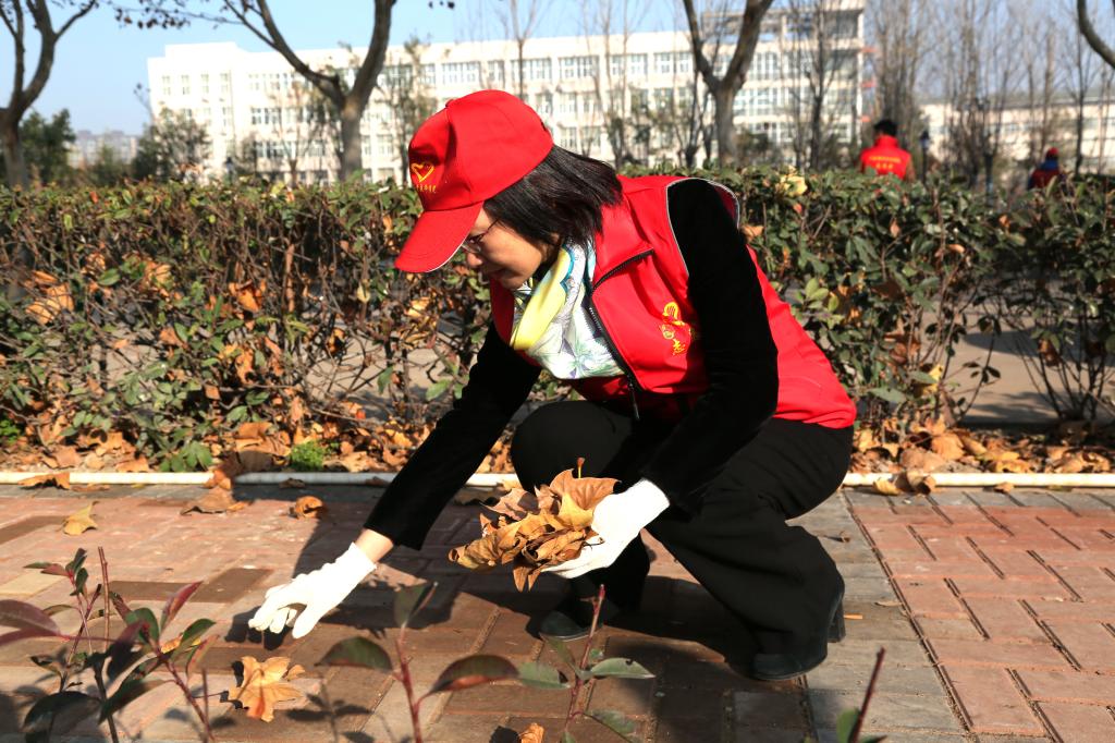 球盟会网页登录